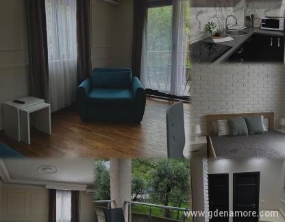 Apartamento Vuković, alojamiento privado en Bečići, Montenegro - IMG-20240509-WA0005