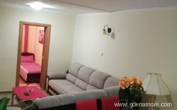 Komforan dvosoban stan za 6 osoba, private accommodation in city Budva, Montenegro