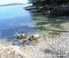 Apartments by the sea, private accommodation in city Hvar Jelsa, Croatia